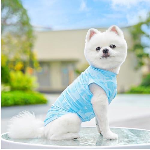 Kühlweste für Hunde, Atmungsaktive Hundekühlweste mit schnellem Kühleffekt, Leichtes bequemes T Shirt für Sommer, Ideal für kleine bis mittelgroße, Perfekt für Spaziergänge, Outdoor (S) von MATSOONY
