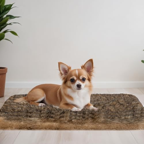 MAVERICK Premium-Hundebett, orthopädisches Hundebett mit hochwertigem Memory-Schaum, luxuriöser Kunstfell-Schlaffläche, wasserabweisendes Futter, abnehmbarer und waschbarer Bezug, rutschfeste MAVERICK Premium-Hundebett, orthopädisches Hundebett mit hochwertigem Memory-Schaum, luxuriöser Kunstfell-Schlaffläche, wasserabweisendes Futter, abnehmbarer und waschbarer Bezug, rutschfeste von MAVERICK