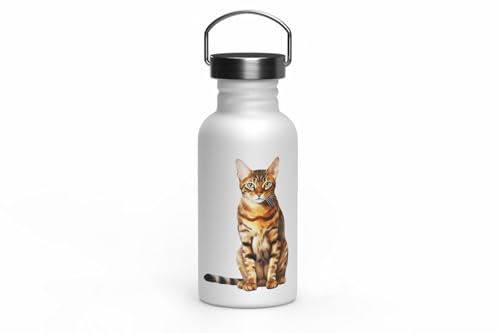 MAXIKIWI - Einwandige Edelstahl-Trinkflasche mit Schraubverschluss und Griff, nicht isoliert, leicht, BPA-frei, auslaufsicher, Katzenrassen, 500 ml MAXIKIWI - Einwandige Edelstahl-Trinkflasche mit Schraubverschluss und Griff, nicht isoliert, leicht, BPA-frei, auslaufsicher, Katzenrassen, 500 ml von MAXIKIWI