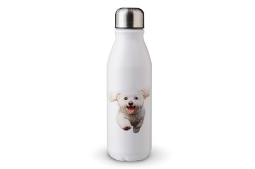 MAXIKIWI - Einwandige Wasserflasche mit Schraubverschluss, nicht isoliert, leichtes Aluminium, BPA-frei, auslaufsicher, Happy Dog Running - 500 ml von MAXIKIWI
