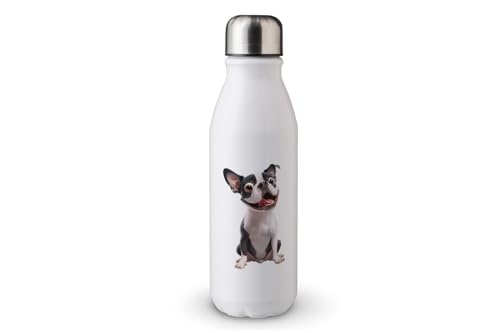 MAXIKIWI - Einwandige Wasserflasche mit Schraubverschluss, nicht isoliert, leichtes Aluminium, BPA-frei, auslaufsicher, Hundekarikaturgrafiken, 500 ml MAXIKIWI - Einwandige Wasserflasche mit Schraubverschluss, nicht isoliert, leichtes Aluminium, BPA-frei, auslaufsicher, Hundekarikaturgrafiken, 500 ml von MAXIKIWI