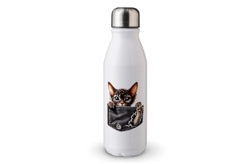 MAXIKIWI - Einwandige Wasserflasche mit Schraubverschluss, nicht isoliert, leichtes Aluminium, BPA-frei, auslaufsicher, Katzenpfoten-Shirt, 500 ml MAXIKIWI - Einwandige Wasserflasche mit Schraubverschluss, nicht isoliert, leichtes Aluminium, BPA-frei, auslaufsicher, Katzenpfoten-Shirt, 500 ml von MAXIKIWI