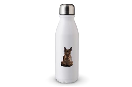 MAXIKIWI - Einwandige Wasserflasche mit Schraubverschluss, nicht isoliert, leichtes Aluminium, BPA-frei, auslaufsicher, Motiv: Rückansicht Hunde, 500 ml von MAXIKIWI