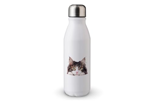 MAXIKIWI - Einwandige Wasserflasche mit Schraubverschluss, nicht isoliert, leichtes Aluminium, BPA-frei, auslaufsicher, Peeking Cats - 500ml MAXIKIWI - Einwandige Wasserflasche mit Schraubverschluss, nicht isoliert, leichtes Aluminium, BPA-frei, auslaufsicher, Peeking Cats - 500ml von MAXIKIWI