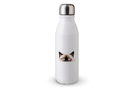 MAXIKIWI - Einwandige Wasserflasche mit Schraubverschluss, nicht isoliert, leichtes Aluminium, BPA-frei, auslaufsicher, Peeking Cats - 500ml von MAXIKIWI
