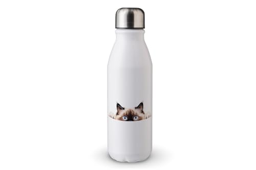 MAXIKIWI - Einwandige Wasserflasche mit Schraubverschluss, nicht isoliert, leichtes Aluminium, BPA-frei, auslaufsicher, Peeking Cats - 500ml MAXIKIWI - Einwandige Wasserflasche mit Schraubverschluss, nicht isoliert, leichtes Aluminium, BPA-frei, auslaufsicher, Peeking Cats - 500ml von MAXIKIWI