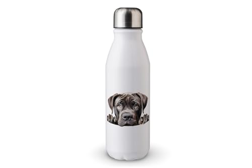 MAXIKIWI - Einwandige Wasserflasche mit Schraubverschluss, nicht isoliert, leichtes Aluminium, BPA-frei, auslaufsicher, Peeking Dogs, 500 ml von MAXIKIWI