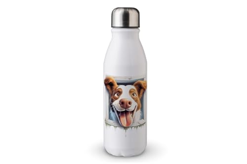 MAXIKIWI - Einwandige Wasserflasche mit Schraubverschluss, nicht isoliert, leichtes Aluminium, BPA-frei, auslaufsicher, lustiger Hund außerhalb des Fensters, 500 ml MAXIKIWI - Einwandige Wasserflasche mit Schraubverschluss, nicht isoliert, leichtes Aluminium, BPA-frei, auslaufsicher, lustiger Hund außerhalb des Fensters, 500 ml von MAXIKIWI