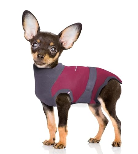 MAXX Genesungsanzug für Hunde - atmungsaktiv, gemütlicher Anzug nach Operationen für Wunden - E-Halsband, Alternative zu Kegel (Rubinrot Grau, XS) von MAXX