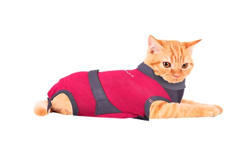 MAXX Medizinische Haustierkleidung für Katzen, E-Kragen-Alternative, Erholungsanzug für Katzen, postoperativer Onesie von Tierarzt, nach Operationen, Bauch-Wundschutz für Haustiere (Rosa-Grau, 4XS) von MAXX