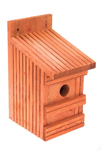 MAZUR International Nistkasten Natur für Blaumeisen & kleine Meisenarten aus Holz -wetterfest, Vogelhaus für Meisen, Nisthilfe mit 28 mm Einflugloch Vogelhaus Meisenkasten Nisthöhle von MAZUR International