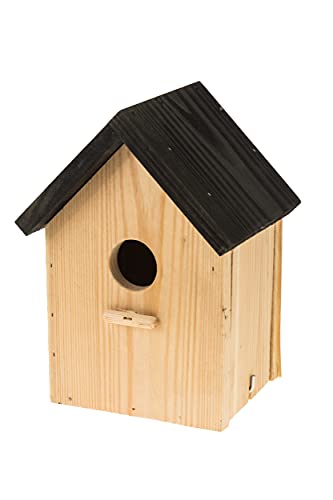 Nistkasten Natur für Blaumeisen & kleine Meisenarten aus Holz, Nisthilfe mit 32 mm Einflugloch Vogelhaus Meisenkasten Nisthöhle Vogelhaus für Meisen Nistkasten Natur für Blaumeisen & kleine Meisenarten aus Holz, Nisthilfe mit 32 mm Einflugloch Vogelhaus Meisenkasten Nisthöhle Vogelhaus für Meisen von MAZUR International