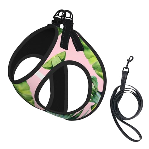 Fresh Banana Leaves Print Geschirr Leine Set für Katzen und Hunde, reflektierend, verstellbar, weich, atmungsaktiv, Netzweste mit ausbruchsicherer Leine, für kleine Haustiere und Kätzchen, Welpen von MBCbjg