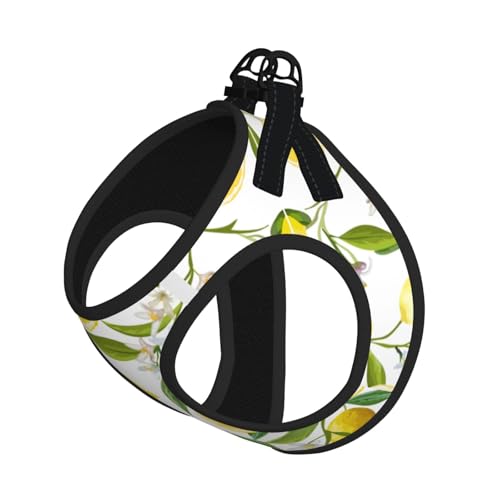 Fresh Tropical Lemons Print Harness Leash Set For Cats And Dogs, Reflective Adjustable, Soft Breathable Mesh Vest With Ausbruchsichere Leine, Für Kleine Haustiere Und Kätzchen Welpen von MBCbjg