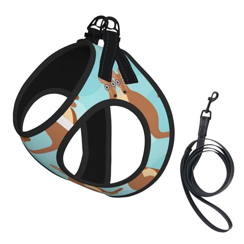 Funny For Kangaroo Hundegeschirr mit Zoo-Druck, für Katzen und Hunde, reflektierend, verstellbar, weich, atmungsaktiv, Netzweste mit ausbruchsicherer Leine, für kleine Haustiere und Kätzchen, Welpen von MBCbjg