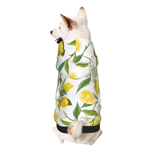 Hunde-Kapuzenpullover für kleine Hunde, warm, weich und atmungsaktiv, leicht zu tragender Pullover, Winter-Wettermantel für Haustiere Hunde-Kapuzenpullover für kleine Hunde, warm, weich und atmungsaktiv, leicht zu tragender Pullover, Winter-Wettermantel für Haustiere von MBCbjg