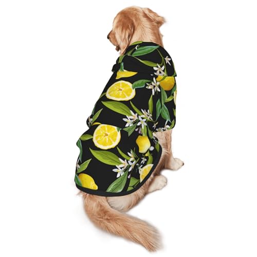 Hunde-Kapuzenpullover für mittelgroße bis große Hunde, warm, weich, atmungsaktiv, leicht zu tragen, Pullover für Winter und Herbst, Haustiermantel Hunde-Kapuzenpullover für mittelgroße bis große Hunde, warm, weich, atmungsaktiv, leicht zu tragen, Pullover für Winter und Herbst, Haustiermantel von MBCbjg