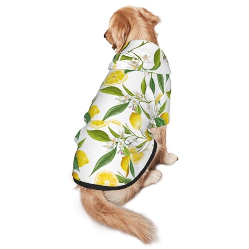 Hunde-Kapuzenpullover mit frischem tropischem Zitronenmuster, für mittelgroße bis große Hunde, warm, weich, atmungsaktiv, leicht zu tragen, Pullover für Winter und Herbst, Haustiermantel von MBCbjg