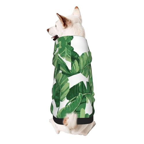 Hunde-Kapuzenpullover mit süßem grünen Palmenblättern, für kleine Hunde, warm, weich und atmungsaktiv, leicht zu tragen, Winter-Wettermantel für Haustiere Hunde-Kapuzenpullover mit süßem grünen Palmenblättern, für kleine Hunde, warm, weich und atmungsaktiv, leicht zu tragen, Winter-Wettermantel für Haustiere von MBCbjg