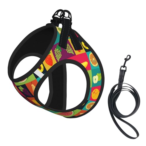 Hundegeschirr im Kunst-Stil, Obstdruck, reflektierend, verstellbar, weich, atmungsaktiv, Netzweste mit ausbruchsicherer Leine, für kleine Haustiere und Kätzchen, Welpen von MBCbjg