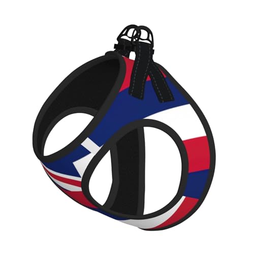 Hundegeschirr mit Hawaii-Flagge, reflektierend, verstellbar, weich, atmungsaktiv, Netzweste mit ausbruchsicherer Leine, für kleine Haustiere und Kätzchen, Welpen von MBCbjg