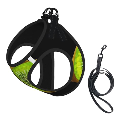 Hundegeschirr mit Kiwi-Druck, reflektierend, verstellbar, weich, atmungsaktiv, Netzweste mit ausbruchsicherer Leine, für kleine Haustiere und Kätzchen, Welpen von MBCbjg