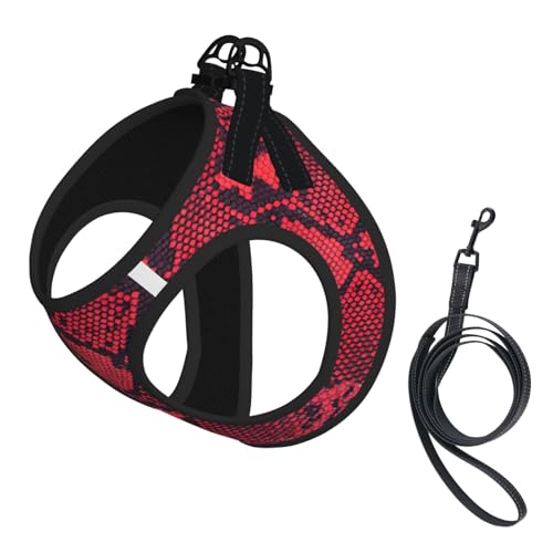 Hundegeschirr mit Serpentinen-Druck, reflektierend, verstellbar, weich, atmungsaktiv, Netzweste mit ausbruchsicherer Leine, für kleine Haustiere und Kätzchen, Welpen von MBCbjg