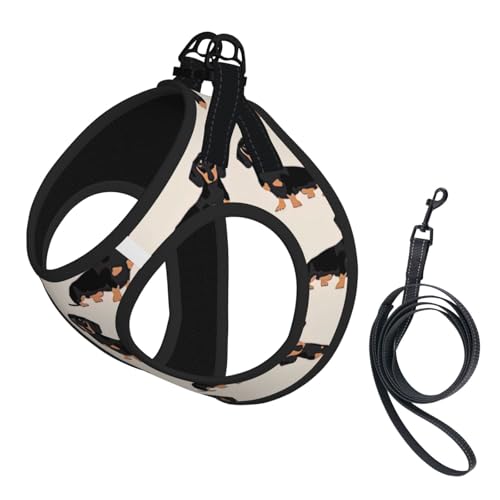 Hundegeschirr mit niedlichem Hunde-Aufdruck, für Katzen und Hunde, reflektierend, verstellbar, weich, atmungsaktiv, Netzweste mit ausbruchsicherer Leine, für kleine Haustiere und Kätzchen, Welpen von MBCbjg