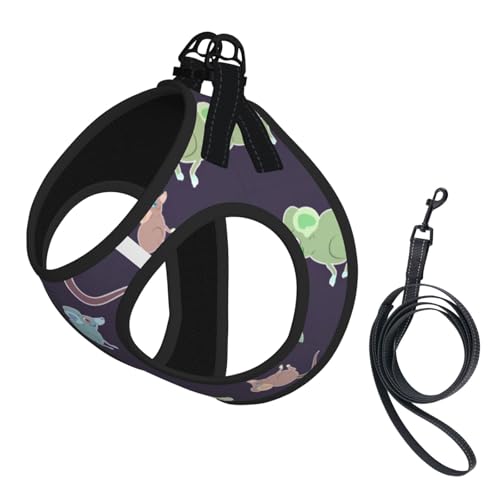 Hundegeschirr mit niedlichem Maus-Aufdruck, für Katzen und Hunde, reflektierend, verstellbar, weich, atmungsaktiv, Netzweste mit ausbruchsicherer Leine, für kleine Haustiere und Kätzchen, Welpen Hundegeschirr mit niedlichem Maus-Aufdruck, für Katzen und Hunde, reflektierend, verstellbar, weich, atmungsaktiv, Netzweste mit ausbruchsicherer Leine, für kleine Haustiere und Kätzchen, Welpen von MBCbjg