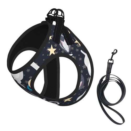 Lustiges Katzengeschirr-Set mit Astronauten-Druck, für Katzen und Hunde, reflektierend, verstellbar, weich, atmungsaktiv, Netzweste mit ausbruchsicherer Leine, für kleine Haustiere und Kätzchen von MBCbjg
