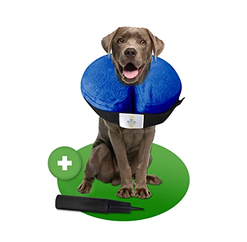 MC-Royal®Premium Halskrause - aufblasbare Premium Halskrause für Hunde und Katzen [zuverlässiger Schutz] - Hundehalskrause - Leckschutz Hund - Halskrause Katzen - Schutzkragen Hund - Blau - Gr.L von MC-Royal