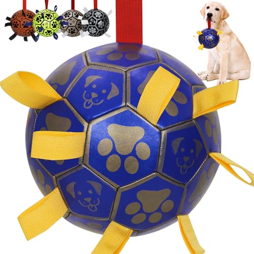 MCD Interaktives Hunde-Fußballspielzeug mit Haltegriffen, langlebige Hunde-Wasserbälle für kleine, mittelgroße Rassen, drinnen und draußen (Blau, 2) von MCD SPORTS