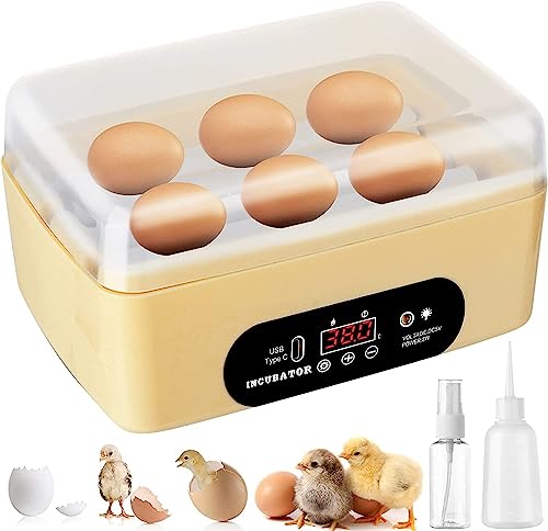 MCHERRY Hühnerei-Inkubator, automatischer Ei-Hatching-Inkubator, 4-6 Mini-Eier-Geflügel-Hatcher mit Temperaturregler-Feuchtigkeitsanzeige für das Hatchen von Hühnerqualen-Enten-Vogeleiern MCHERRY Hühnerei-Inkubator, automatischer Ei-Hatching-Inkubator, 4-6 Mini-Eier-Geflügel-Hatcher mit Temperaturregler-Feuchtigkeitsanzeige für das Hatchen von Hühnerqualen-Enten-Vogeleiern von MCHERRY
