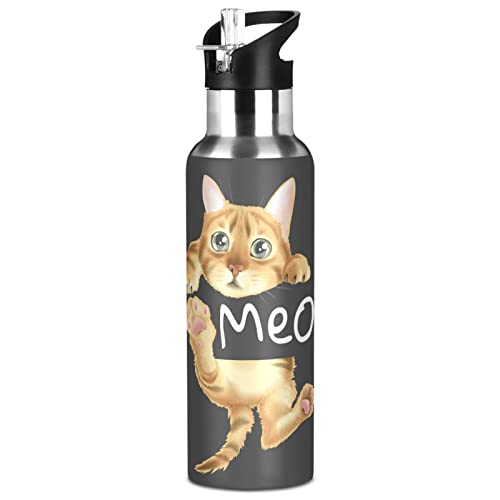 Lustige Katzen-Isolierflaschen mit Griff, 900 ml, Vakuumflasche mit Strohhalmdeckel, Thermoflasche für Reisen, Schule, Sport, BAP-frei von MCHIVER