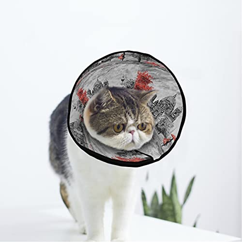 MCHIVER Berlin Street View Soft Cat Dog Recovery Collar Adjustable Cat Cone Wundheilung Protective After OP for Cat and Puppy von MCHIVER
