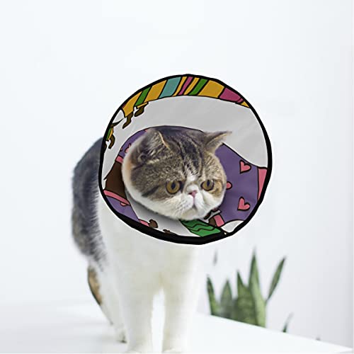 MCHIVER Dackel-Hundehalsband, weich, für Katzen und Hunde, verstellbar, zur Wundheilung, Schutz nach Operationen von MCHIVER