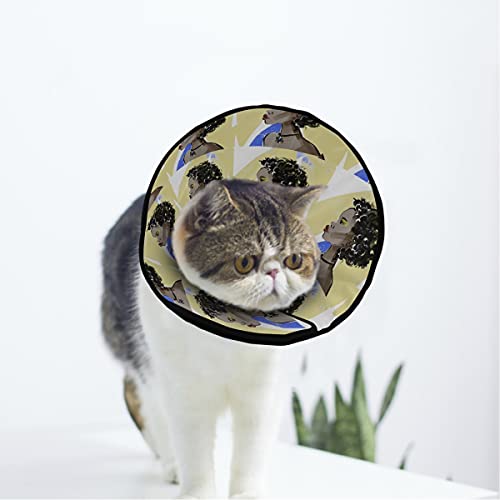 MCHIVER Disco-Halsband für Mädchen, weich, für Katzen und Hunde, verstellbar, zur Wundheilung, Schutz nach Operationen von MCHIVER
