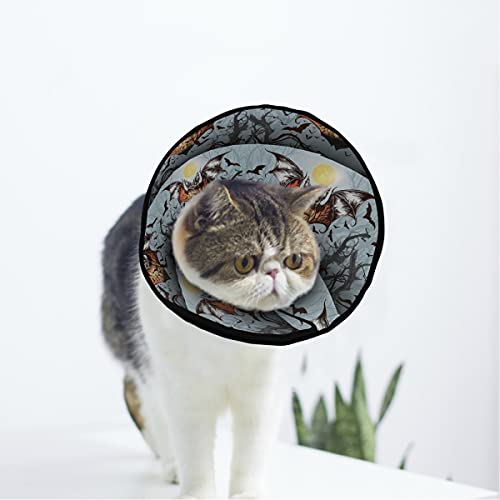 MCHIVER Halloween-Fledermaus-Halsband für Katzen, Hunde, verstellbar, zur Wundheilung, Schutz nach Operationen von MCHIVER