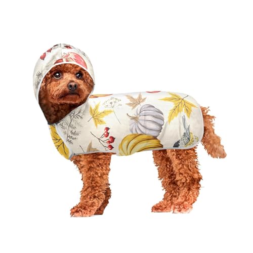 MCHIVER Hunde-Badetuch mit Kapuze, schnell trocknend, verstellbar, zum Trocknen von Hunden, Mäntel, Handtücher für Schwimmen, Baden, Pool, Strand, 50 x 60 cm MCHIVER Hunde-Badetuch mit Kapuze, schnell trocknend, verstellbar, zum Trocknen von Hunden, Mäntel, Handtücher für Schwimmen, Baden, Pool, Strand, 50 x 60 cm von MCHIVER