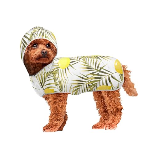 MCHIVER Hunde-Badetuch mit Zitronen-Motiv, schnelltrocknend, Haustier-Bademäntel, Hunde-Trockenmäntel, Handtücher, Wraps für Strand, Pool, Schwimmen, Baden, 60 x 65 cm von MCHIVER