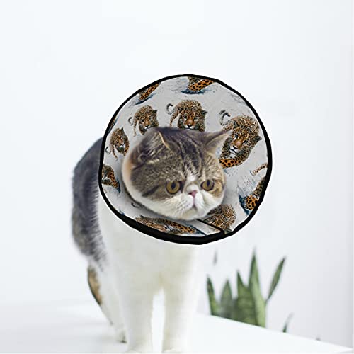 MCHIVER Jaguar Tiger Soft Cat Dog Recovery Collar Adjustable Cat Cone Wundheilung Protective After Operation for Large/Medium/Small Dogs Cat von MCHIVER