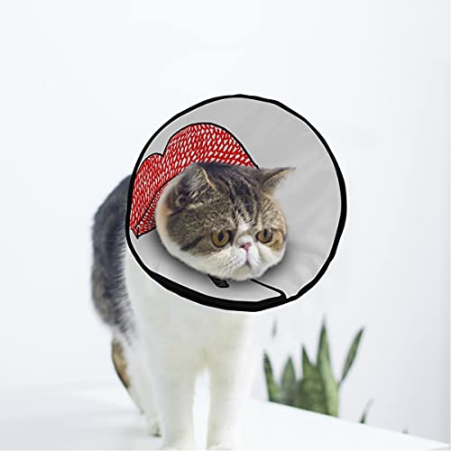 MCHIVER Lips Soft Cat Dog Recovery Collar Adjustable Cat Cone Wundheilung Protective After Operation for Neck Kätzchen Halsbänder von MCHIVER