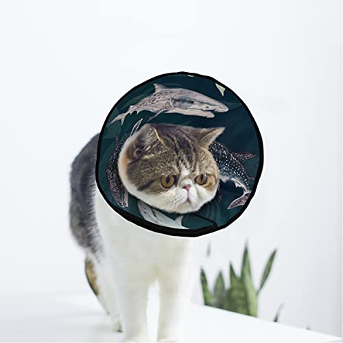 MCHIVER Ocean Shark Waves Soft Cat Dog Recovery Collar Adjustable Cat Cone Wunde Healing Protective After Operations for Pet Cones After Ops von MCHIVER