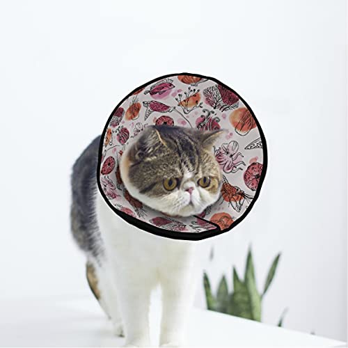 MCHIVER Organisms Soft Cat Dog Recovery Collar Adjustable Cat Cone Wund Healing Protective After Operation for Pet Cone von MCHIVER