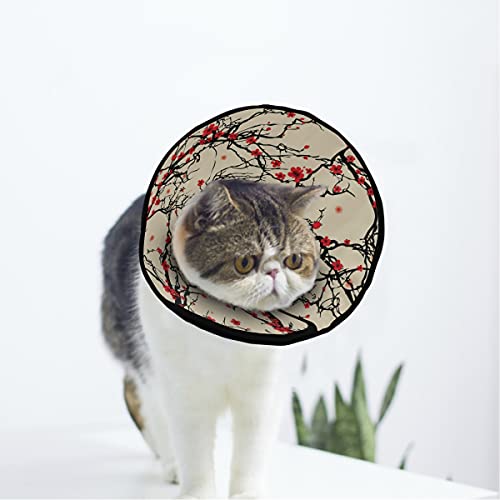 MCHIVER Pflaumenblüte, weiches Halsband zur Erholung von Katzen und Hunden, verstellbar, für Wundheilung, Schutz nach Operationen von MCHIVER