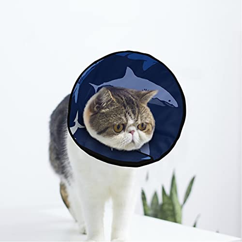 MCHIVER Shark Soft Cat Dog Recovery Collar Adjustable Cat Cone Wunde Healing Protective After Operation for Pet Cone von MCHIVER
