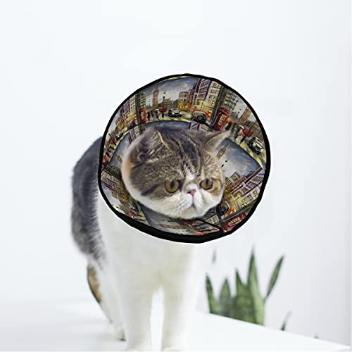 MCHIVER Street London Soft Cat Dog Recovery Collar Adjustable Cat Cone Wund Healing Protective After Operation for Cats von MCHIVER
