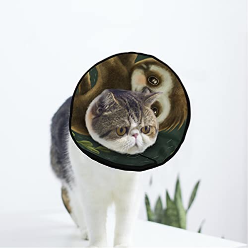 MCHIVER Weiches Faultier-Halsband für Katzen und Hunde, verstellbar, zur Wundheilung, Schutz nach Operationen, für Kätzchen, nach Operationen von MCHIVER