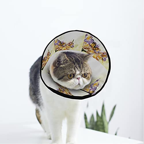 MCHIVER Weiches Halsband für Katzen und Hunde, mit floralem Hintergrund, verstellbar, zur Wundheilung, Schutz nach Operationen von MCHIVER