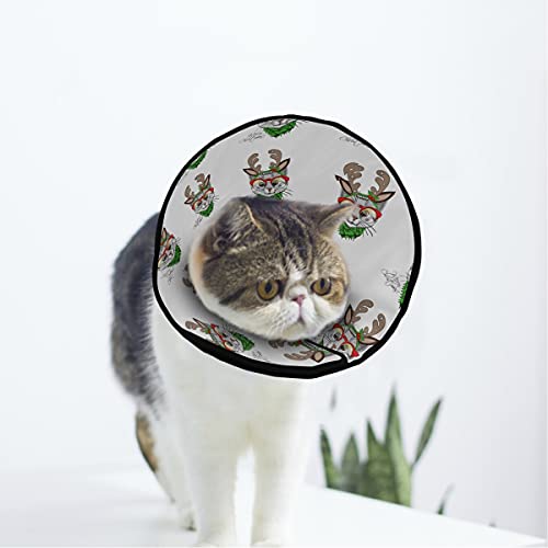 MCHIVER Weiches Katzen-Halsband für Hunde und Katzen, verstellbar, zur Wundheilung, Schutz nach Operationen, für Kätzchen, nach Operationen von MCHIVER
